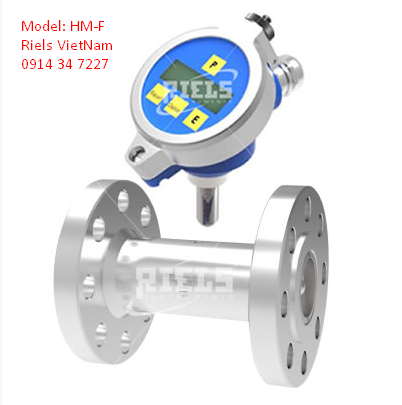 Đồng hồ đo lưu lượng tuabin HM-F Riels - Đại lý Riels Việt Nam