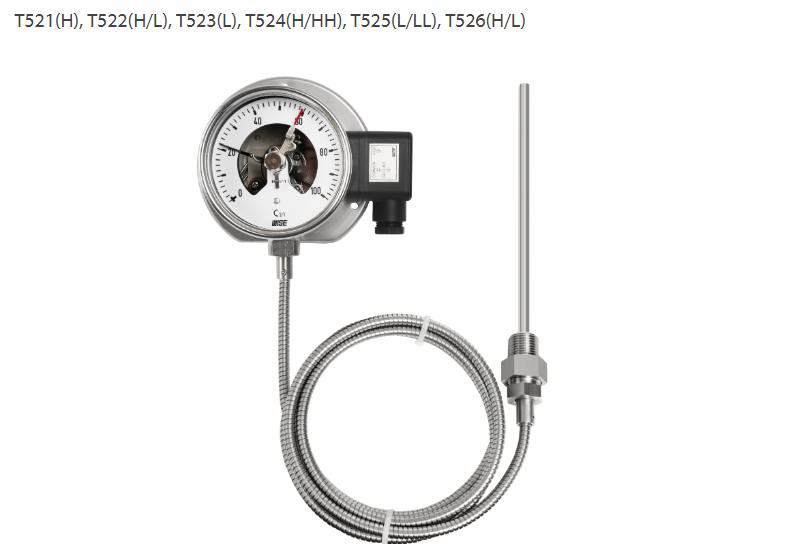 Đồng hồ đo nhiệt độ T521 Wise - Đại lý Wisecontrol Việt nam