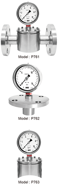 Đồng hồ đo áp suất type P761 - Đại lý đồng hồ Wise Việt Nam