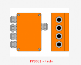 Cảm biến rào cản đặc biệt 4 kênh - Special Light Barriers PP9031 Pauly
