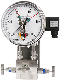 Đồng hồ đo áp suất type  P690 - Đại lý đồng hồ Wise Việt Nam