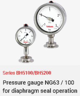 Đồng hồ đo áp suất dạng cơ có màng ngăn BH5100-BH5200 Labom cho ngành dược phẩm