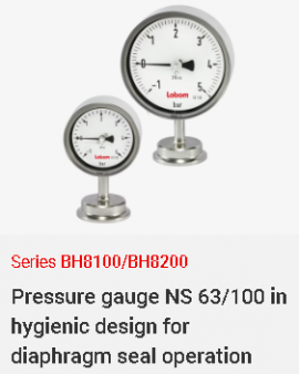 Đồng hồ đo áp suất dạng cơ có màng ngăn BH8100-BH8200 Labom cho ngành thực phẩm