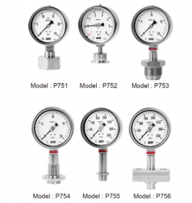 Đồng hồ đo áp suất P753 Wise - Đại lý Wisecontrol việt Nam