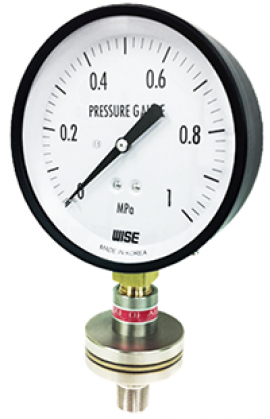 Đồng hồ áp suất màng Model  P170 - Đại lý Wise tại Việt Nam