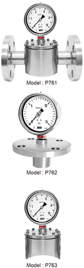 Đồng hồ đo áp suất type P761 - Đại lý đồng hồ Wise Việt Nam